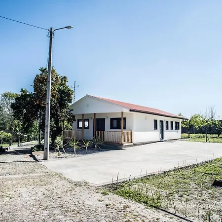 Quinta Do Pomar Pomar Farm Tatil Evi *