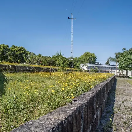 Quinta Do Pomar Pomar Farm Tatil Evi *