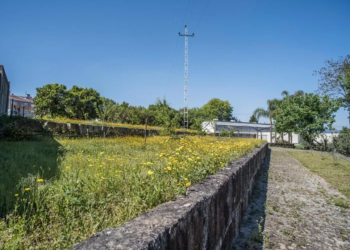 Quinta Do Pomar Pomar Farm Holiday home *